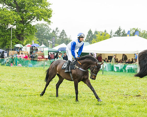 Race 1 - Novice and Veteran riders (3 of 60)
