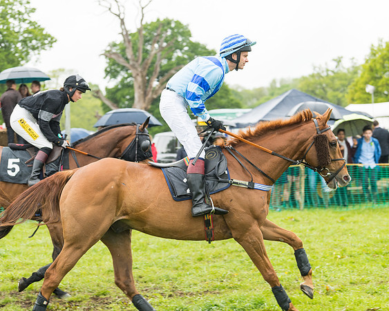 Race 1 - Novice and Veteran riders (7 of 60)
