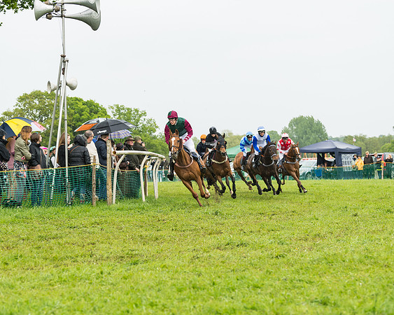 Race 1 - Novice and Veteran riders (14 of 60)