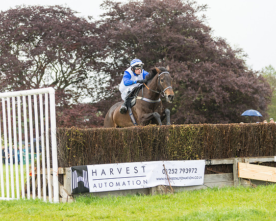 Race 1 - Novice and Veteran riders (49 of 60)