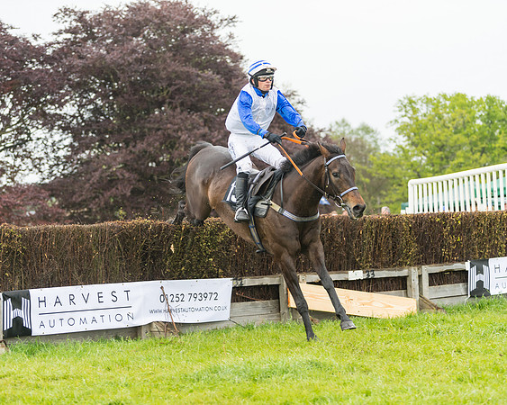 Race 1 - Novice and Veteran riders (52 of 60)