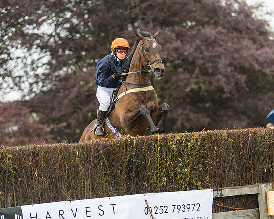 Race 1 - Novice and Veteran riders (56 of 60)