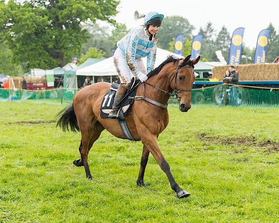 Race 5  - Open Maiden (1 of 107)