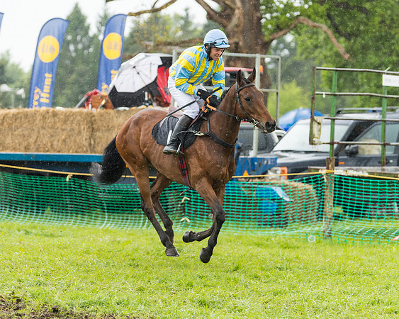 Race 5  - Open Maiden (4 of 107)