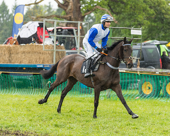 Race 5  - Open Maiden (6 of 107)