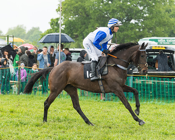 Race 5  - Open Maiden (7 of 107)