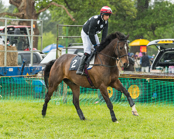 Race 5  - Open Maiden (8 of 107)