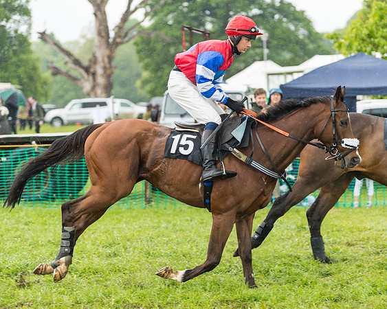 Race 5  - Open Maiden (12 of 107)