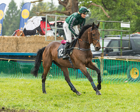 Race 5  - Open Maiden (14 of 107)