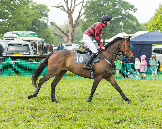 Race 5  - Open Maiden (17 of 107)