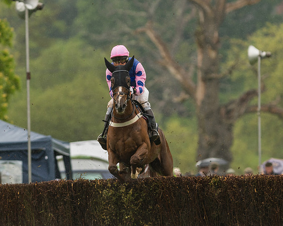 Race 5  - Open Maiden (21 of 107)