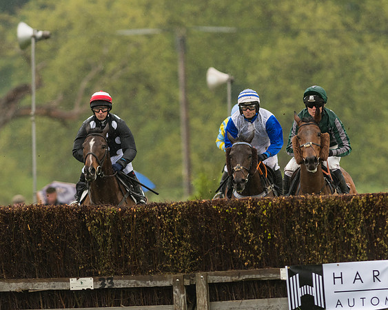 Race 5  - Open Maiden (22 of 107)