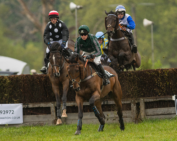 Race 5  - Open Maiden (26 of 107)