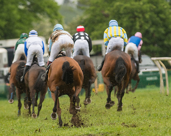 Race 5  - Open Maiden (33 of 107)