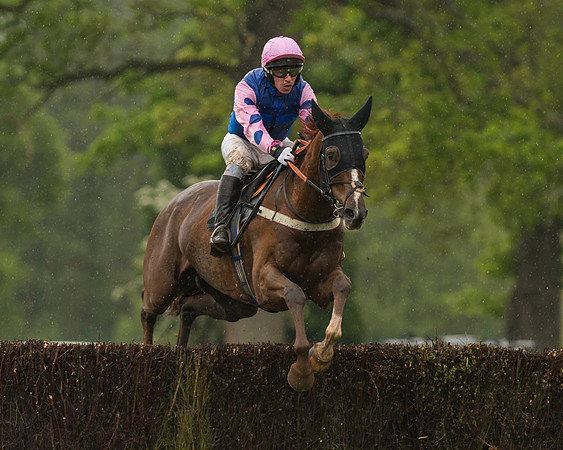 Race 5  - Open Maiden (40 of 107)