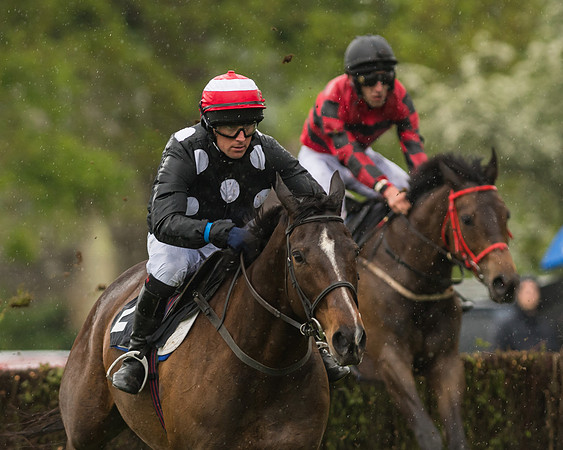 Race 5  - Open Maiden (47 of 107)