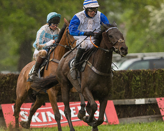 Race 5  - Open Maiden (48 of 107)
