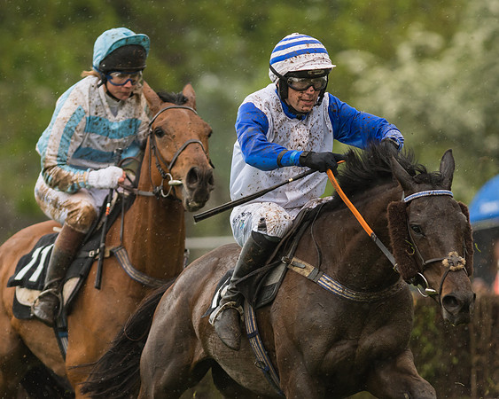 Race 5  - Open Maiden (49 of 107)