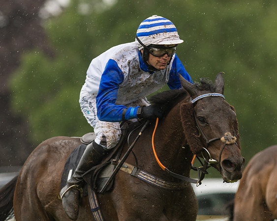Race 5  - Open Maiden (50 of 107)