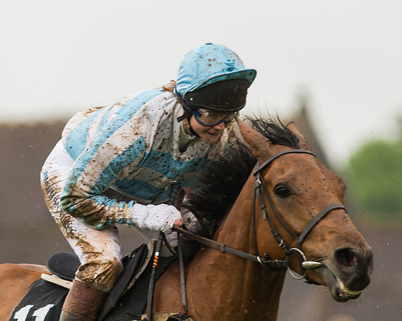 Race 5  - Open Maiden (51 of 107)
