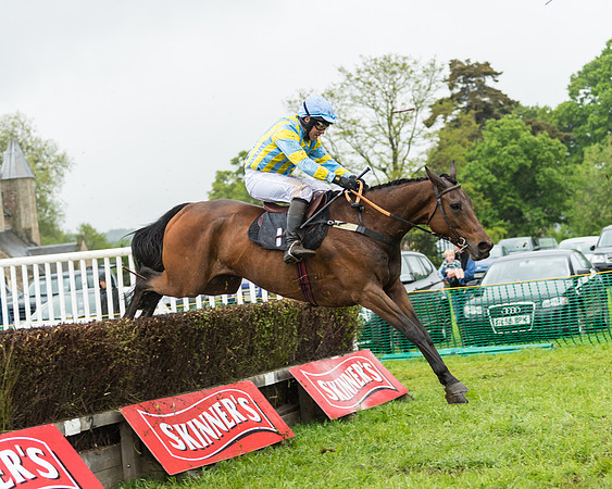 Race 5  - Open Maiden (62 of 107)