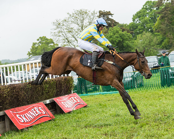 Race 5  - Open Maiden (63 of 107)