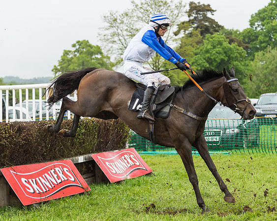 Race 5  - Open Maiden (76 of 107)