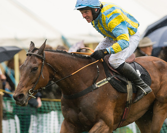 Race 5  - Open Maiden (96 of 107)