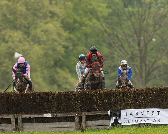 Race 5  - Open Maiden (97 of 107)