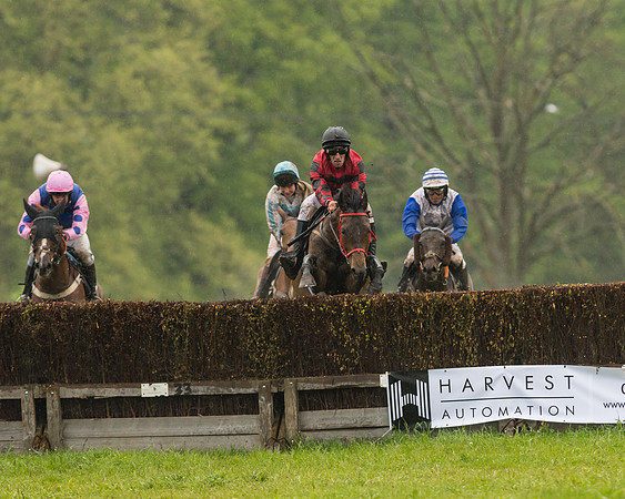 Race 5  - Open Maiden (98 of 107)