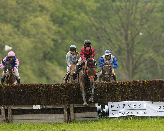 Race 5  - Open Maiden (99 of 107)