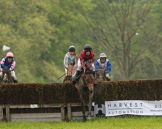 Race 5  - Open Maiden (100 of 107)