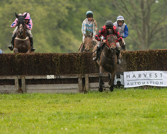 Race 5  - Open Maiden (101 of 107)