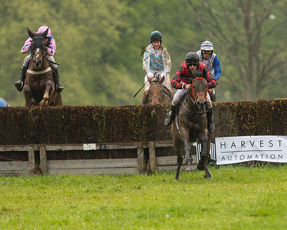 Race 5  - Open Maiden (102 of 107)