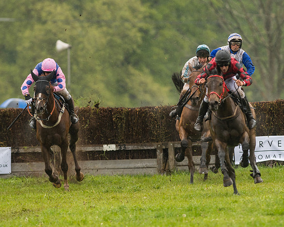 Race 5  - Open Maiden (103 of 107)
