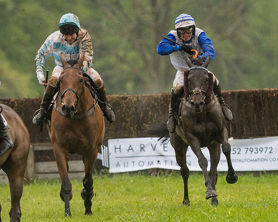 Race 5  - Open Maiden (104 of 107)