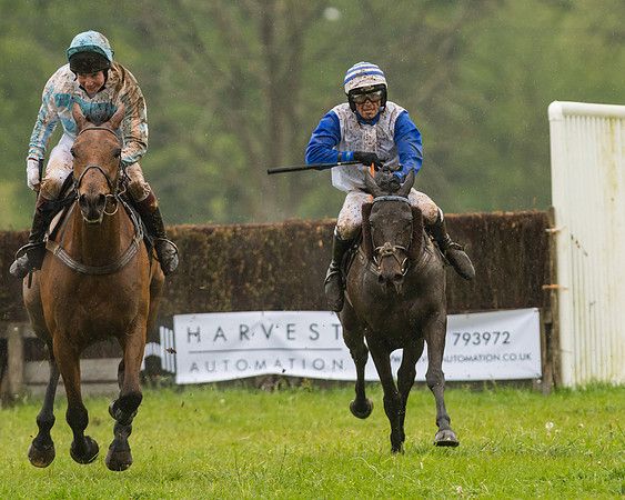 Race 5  - Open Maiden (105 of 107)