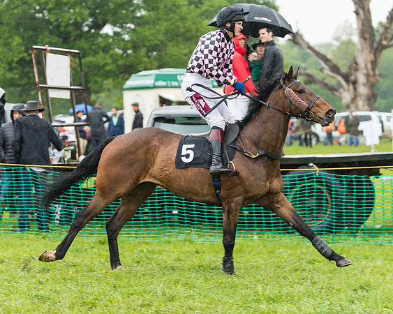 Race 6 - Conditions (3 of 73)