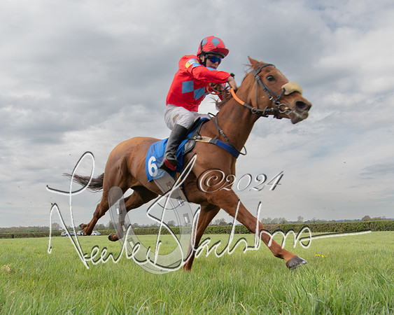 Pony Race 2 (57 of 84)-