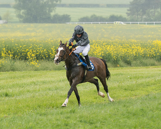 Pony Race 2 (46 of 113)