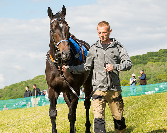 Race 5 - Restricted  (13 of 136)
