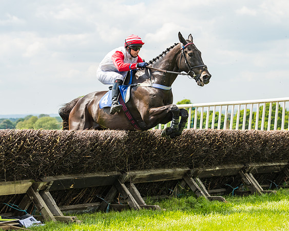 Kingston Blount Conditions