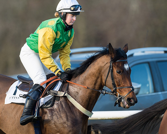 Race 2 - PPORA Novice Riders  (51 of 205)