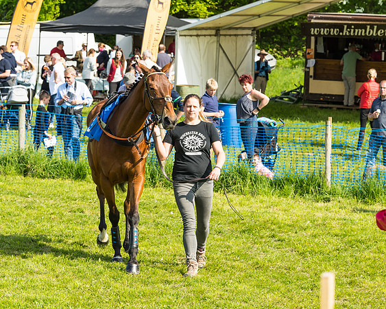 Young Horse Maiden