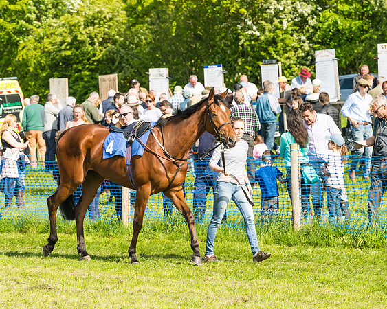 Young Horse Maiden