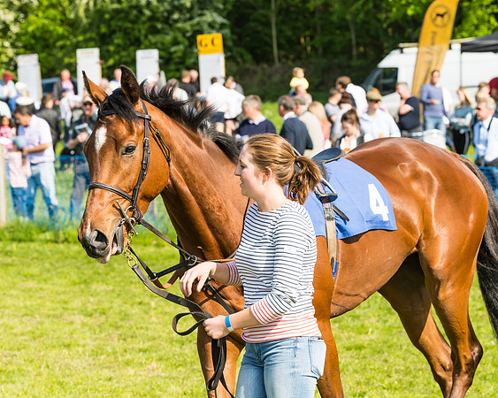 Young Horse Maiden