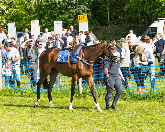 Young Horse Maiden