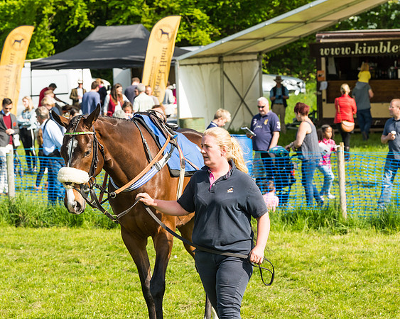 Young Horse Maiden