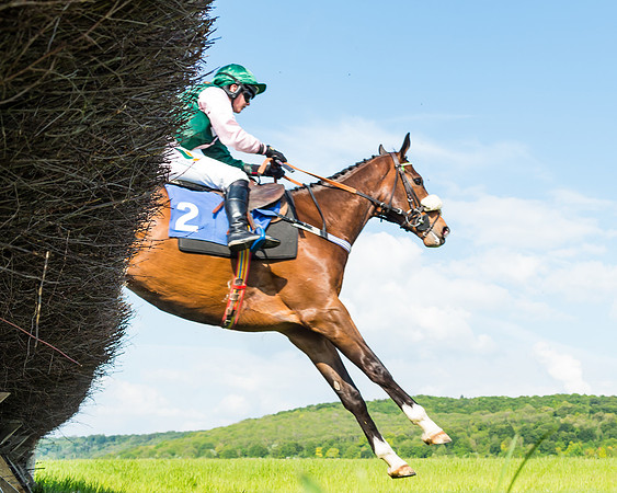 Young Horse Maiden
