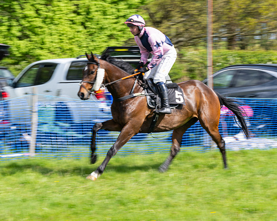 Race 4 -  2M4F Conditions  (28 of 102)